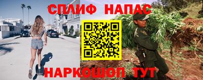гашик Нягань