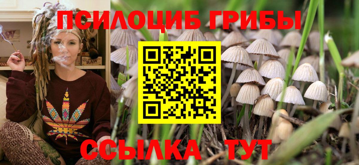 Симферополь  Галлюциногенные грибы MAGIC MUSHROOMS  как найти закладки  Вход с VPN 
